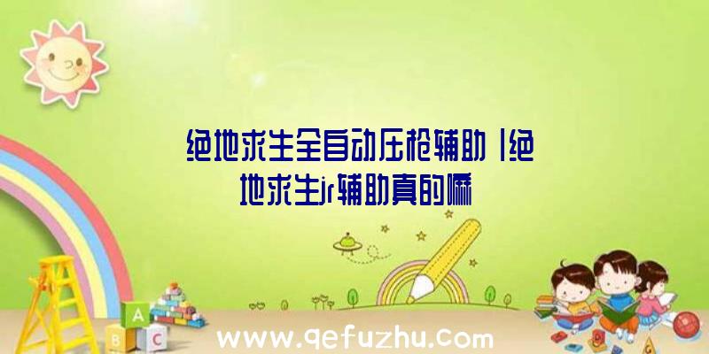 「绝地求生全自动压枪辅助」|绝地求生jr辅助真的嘛